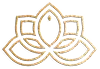 Vive Plastic Surgery logo